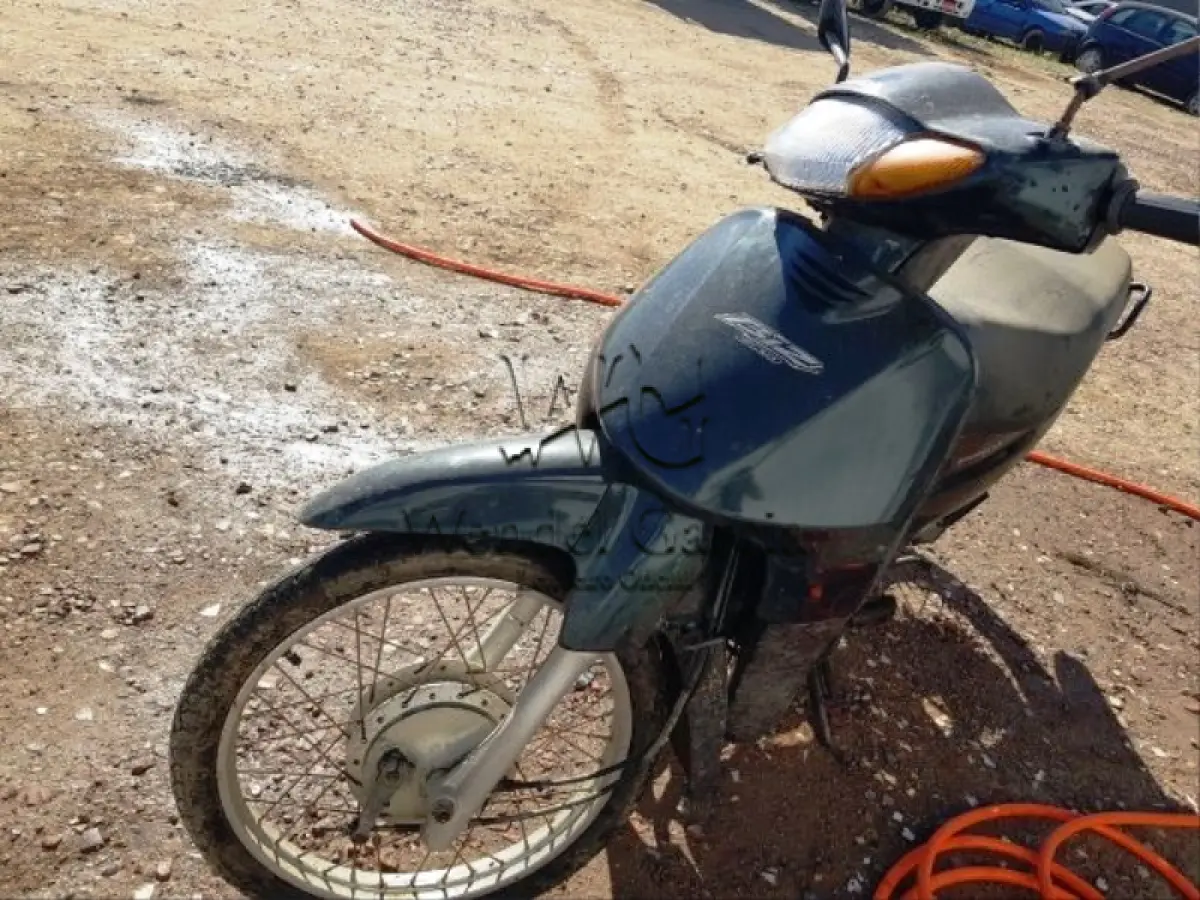LOTE 172