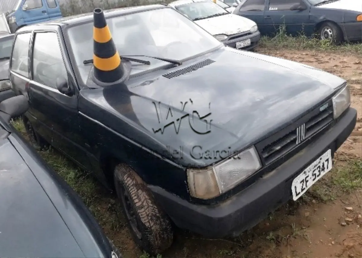 LOTE 175