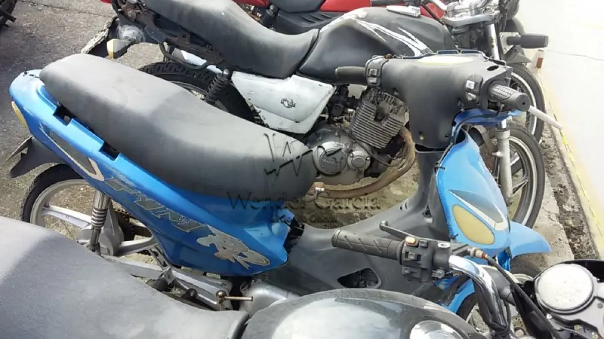 LOTE 478