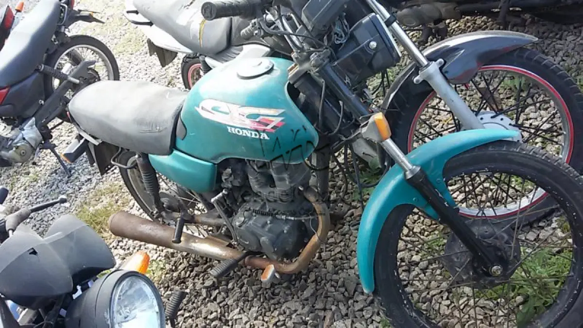 LOTE 505