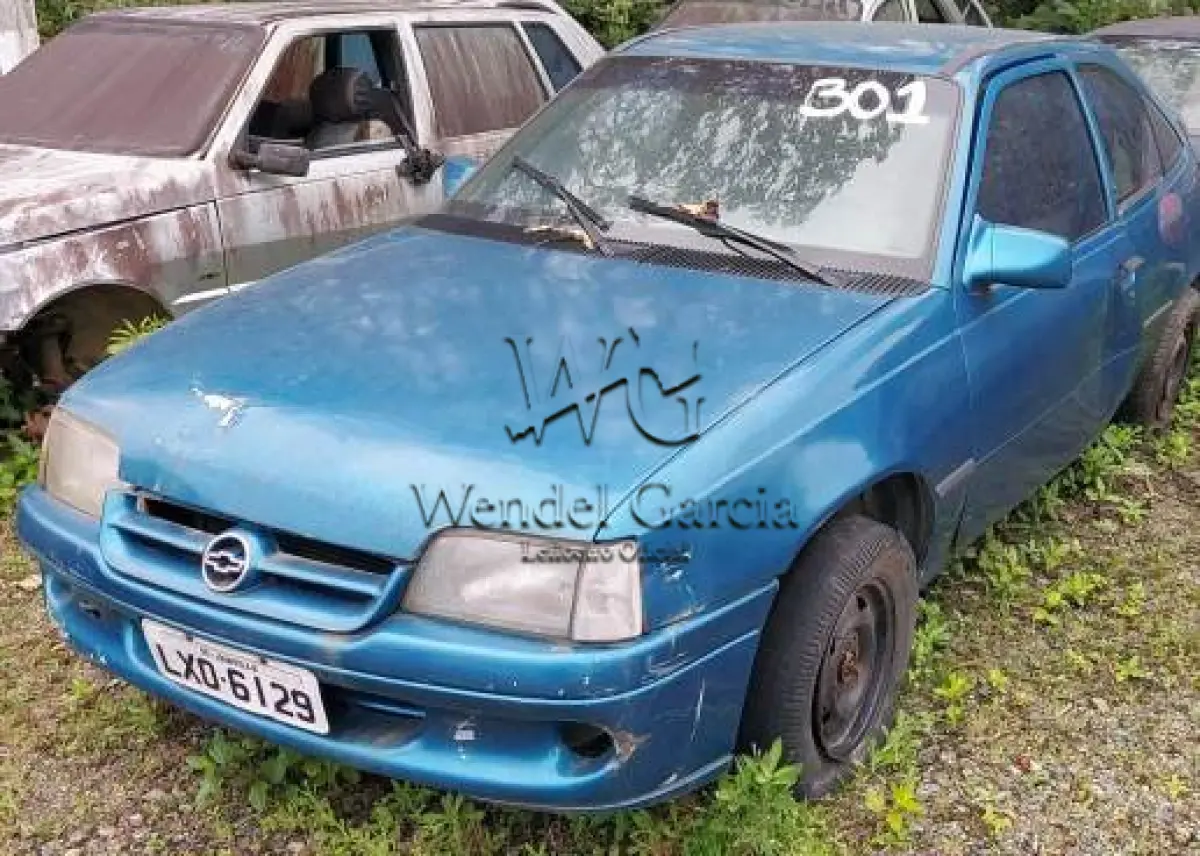 LOTE 301