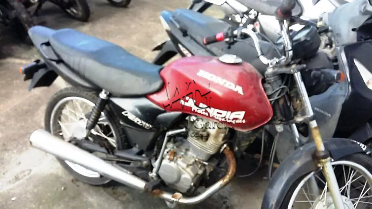 LOTE 562