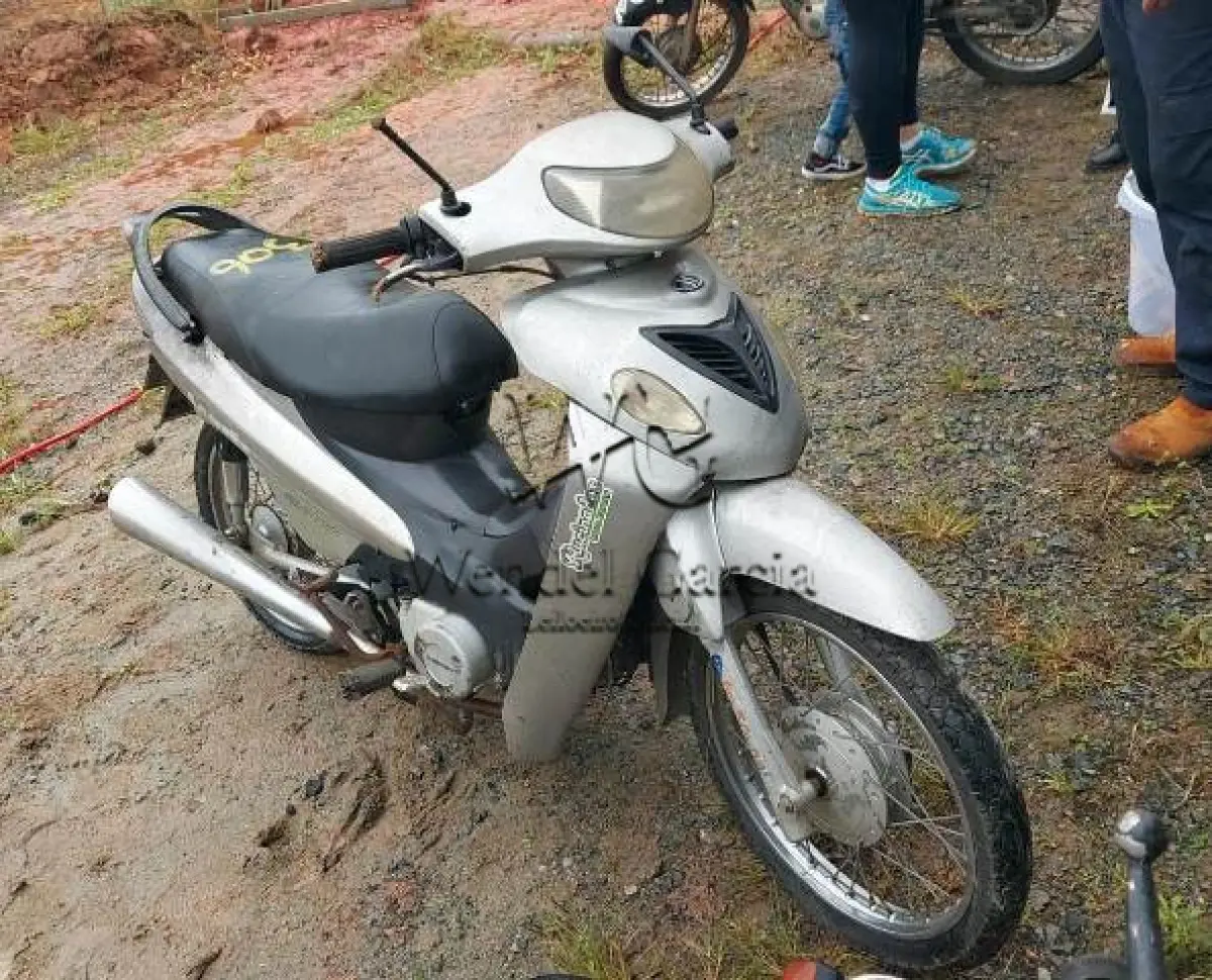 LOTE 306