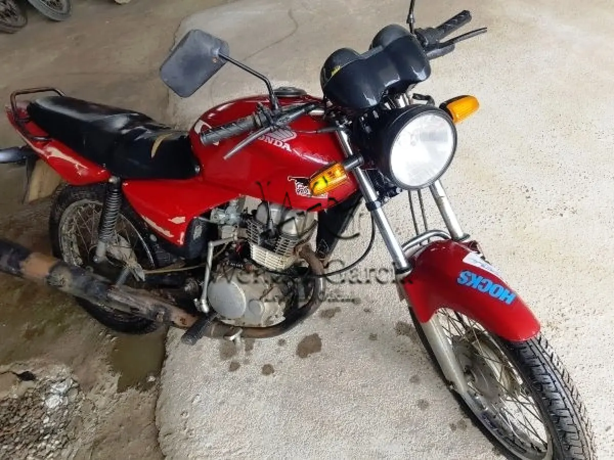 LOTE 115