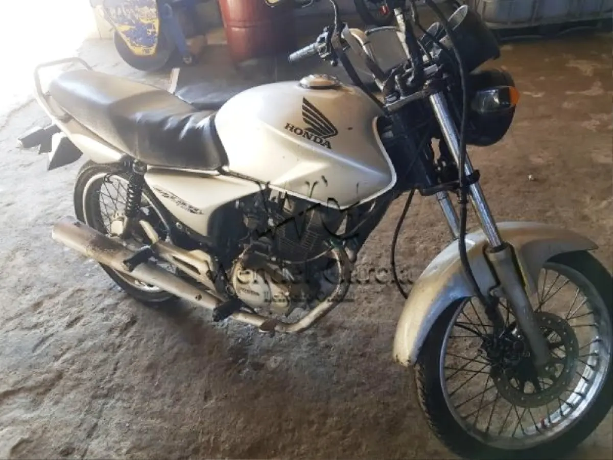 LOTE 191