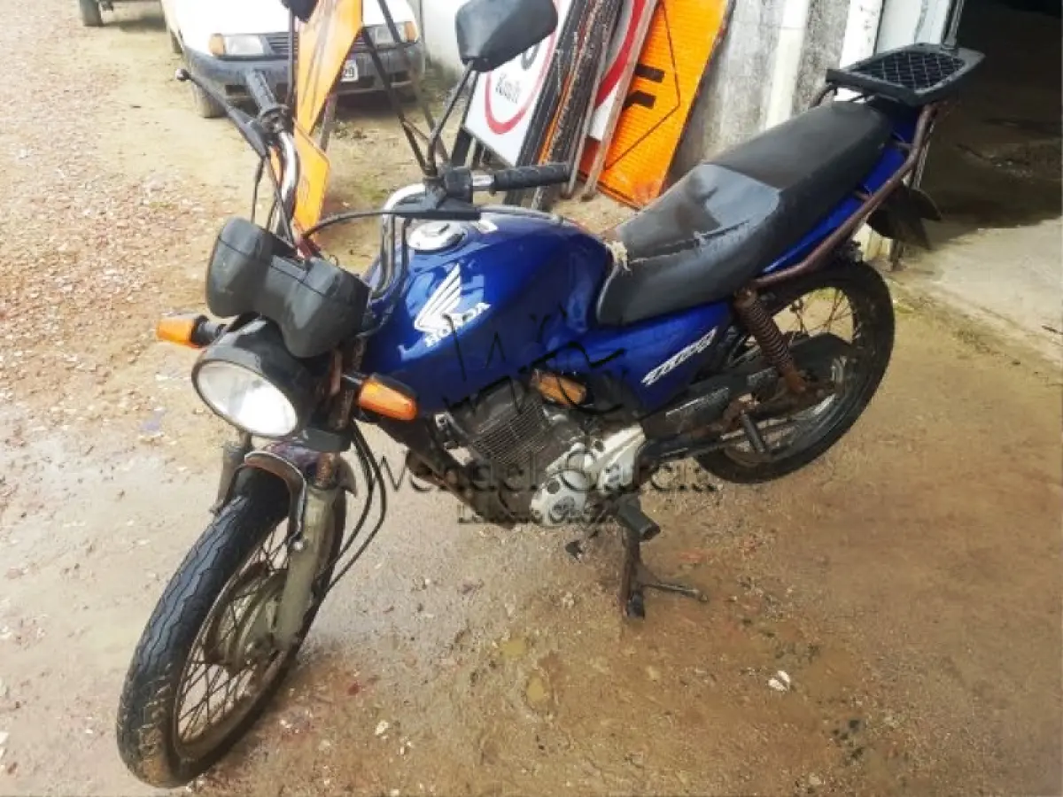 LOTE 135