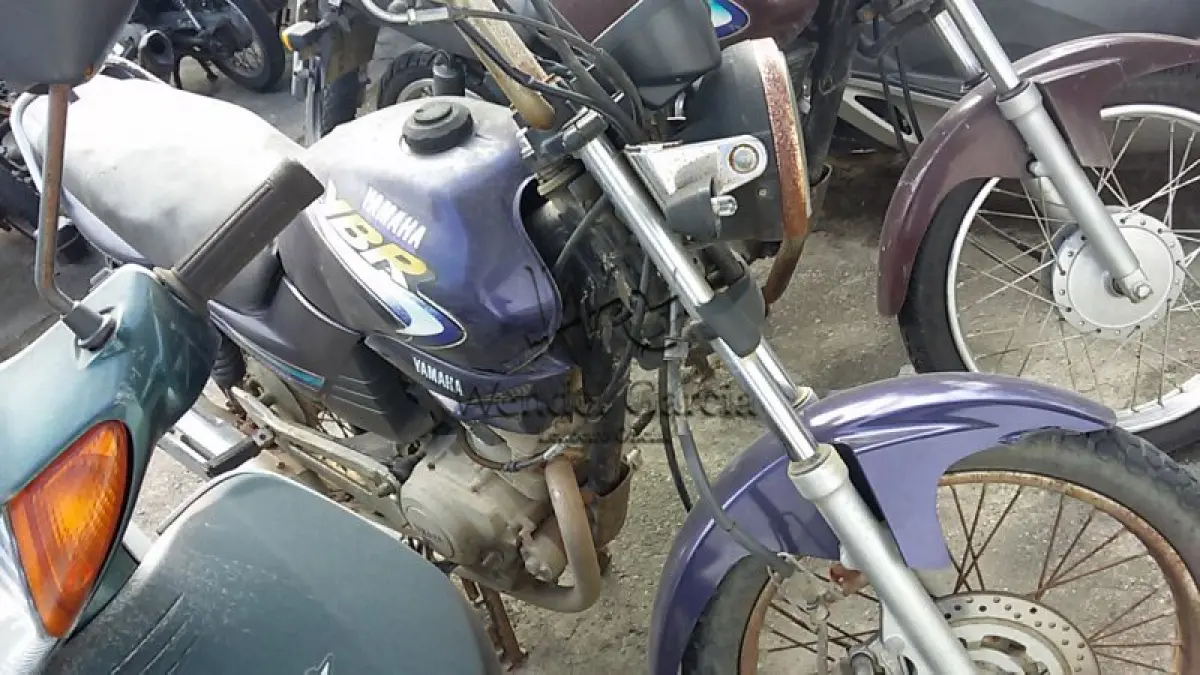 LOTE 449
