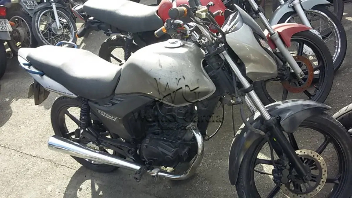 LOTE 593