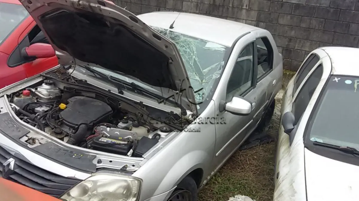 LOTE 590
