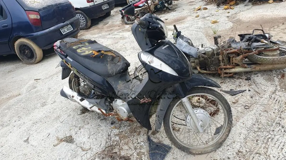 LOTE 677