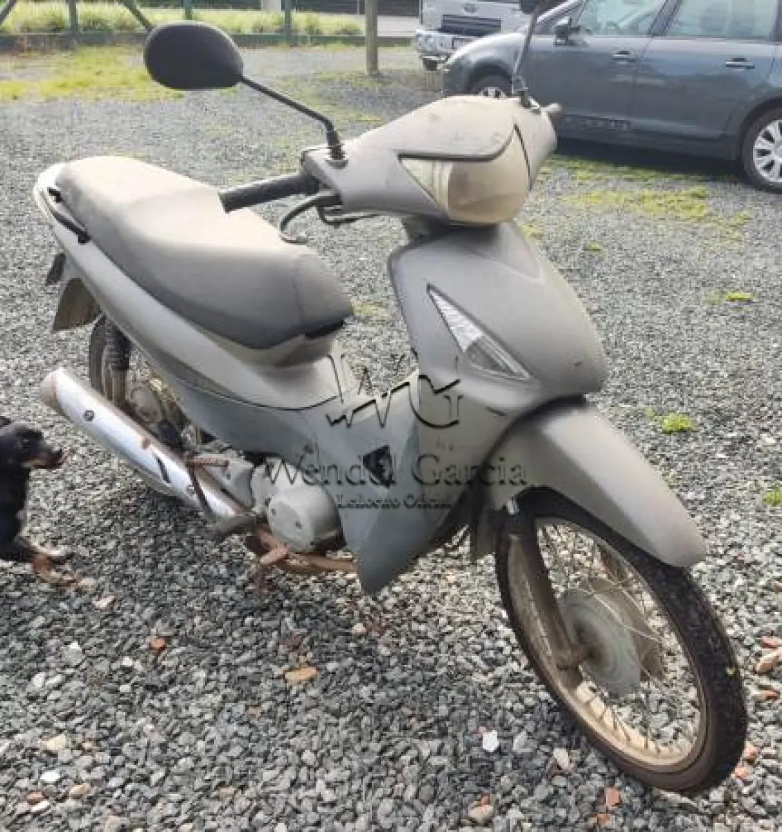 LOTE 276