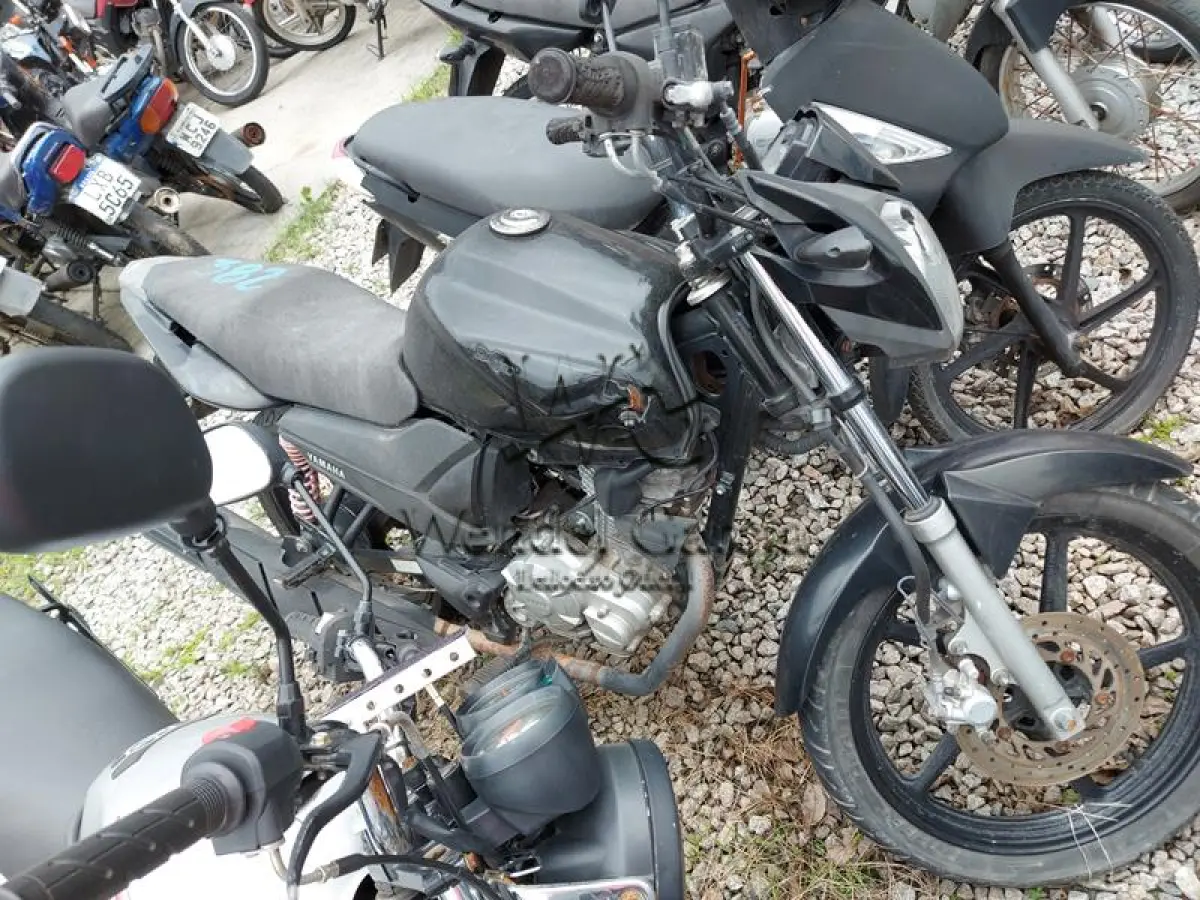 LOTE 382