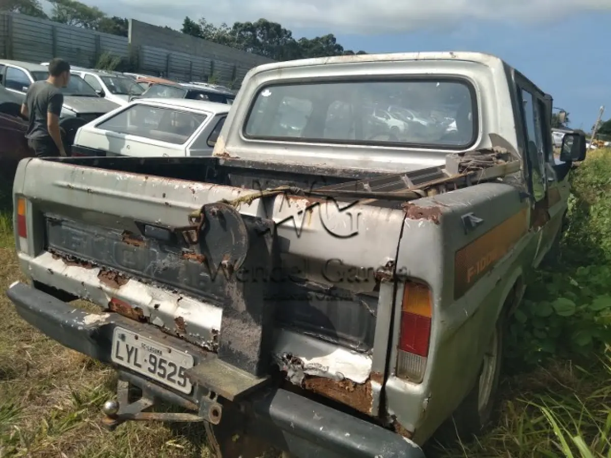 LOTE 115 - FORD/F1000S