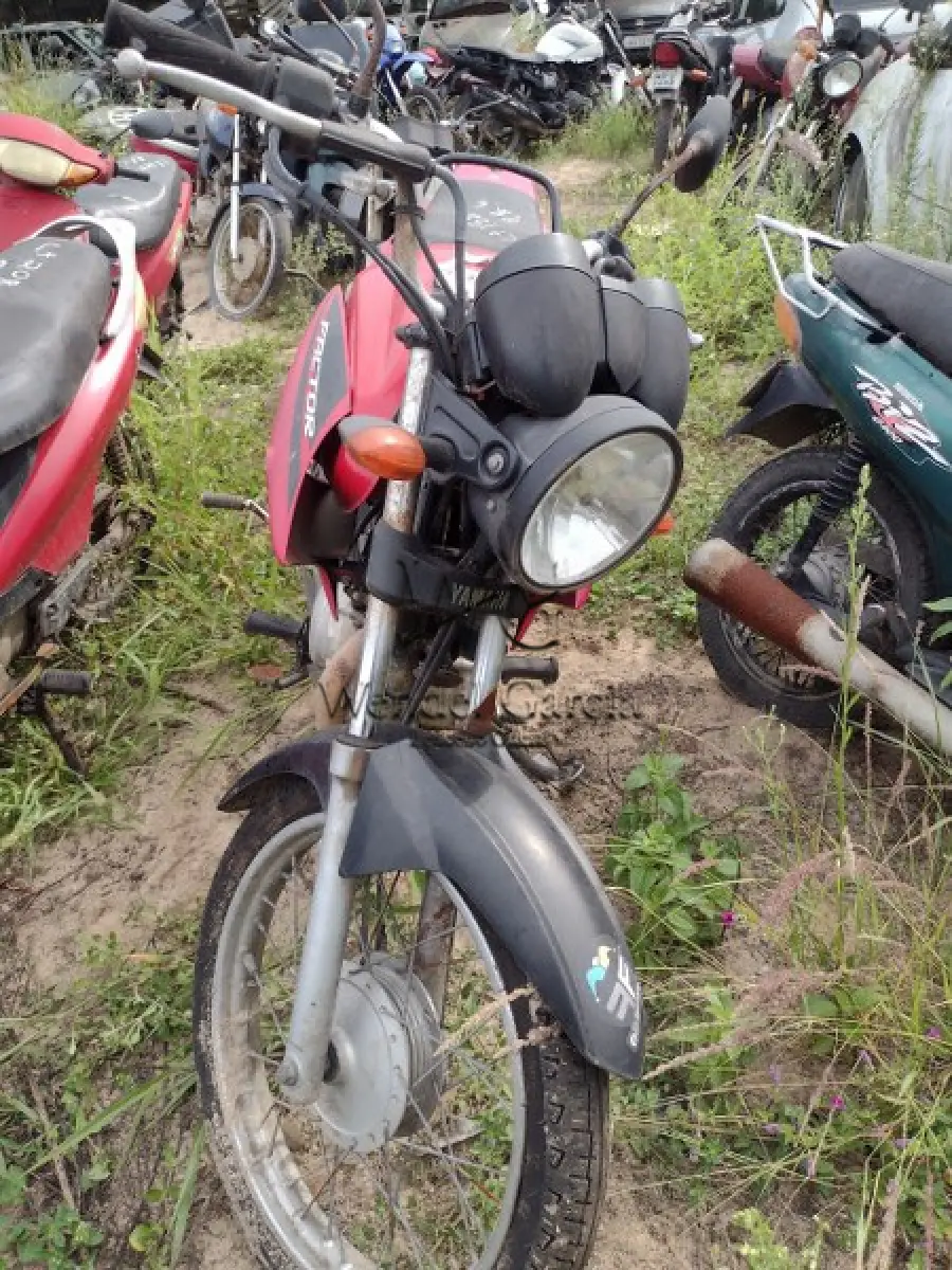 LOTE 181