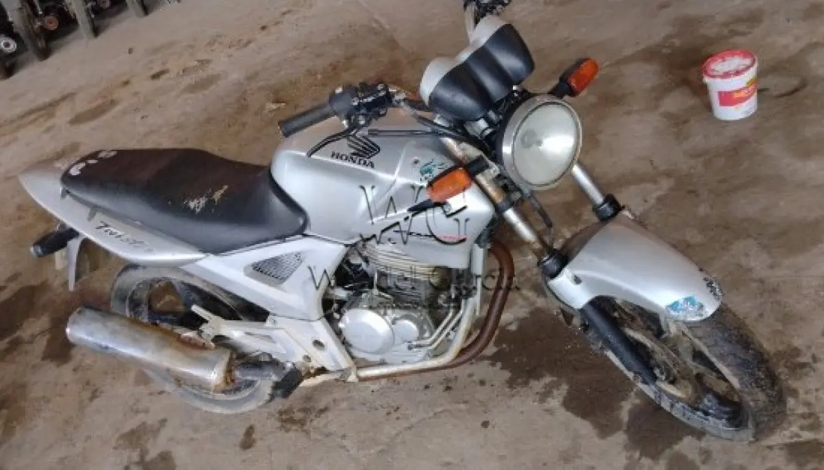 LOTE 241