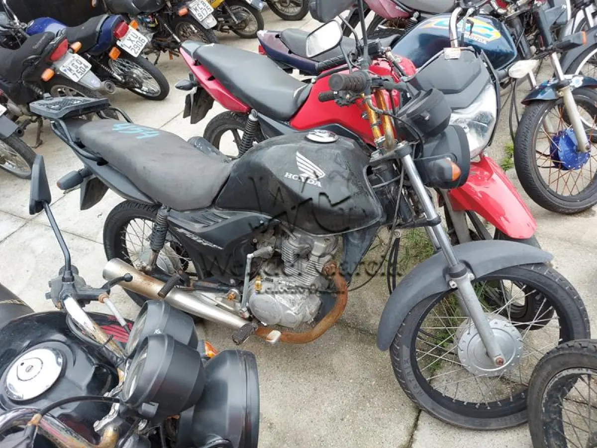 LOTE 454