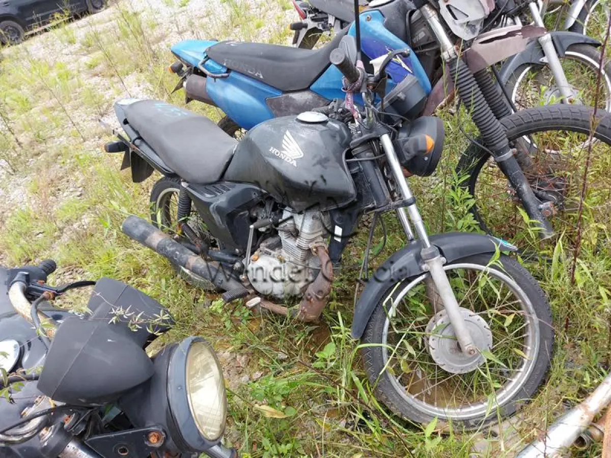 LOTE 433