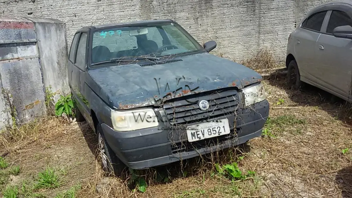 LOTE 477