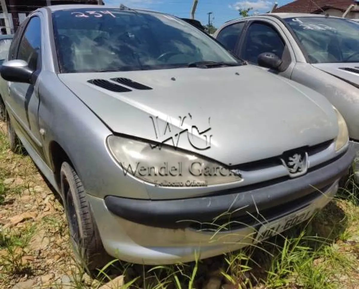 LOTE 234 - PEUGEOT/206 SELECTION