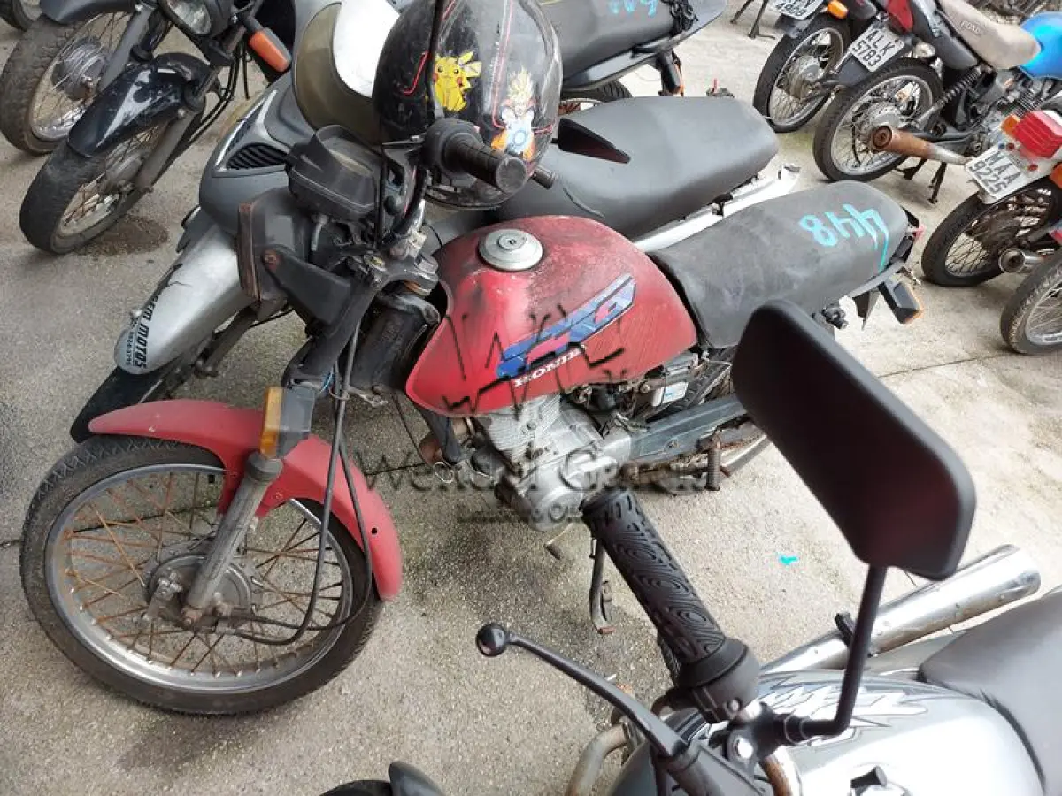 LOTE 448
