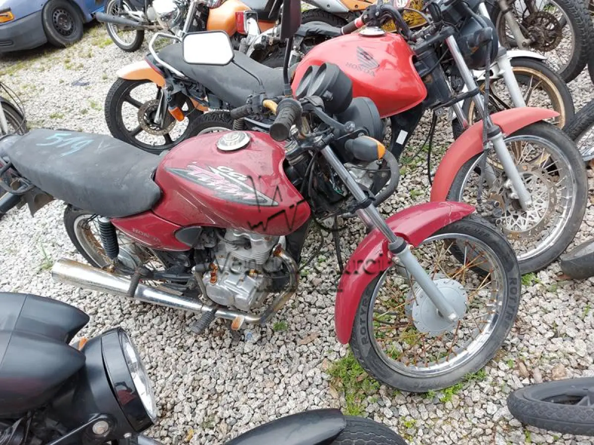 LOTE 519