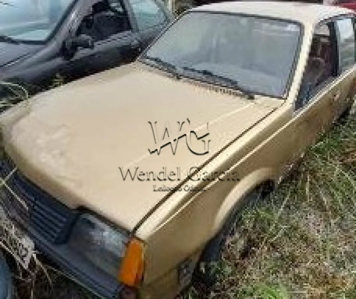 LOTE 306