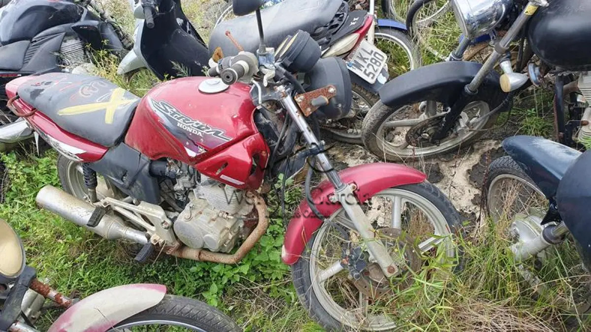 LOTE 692