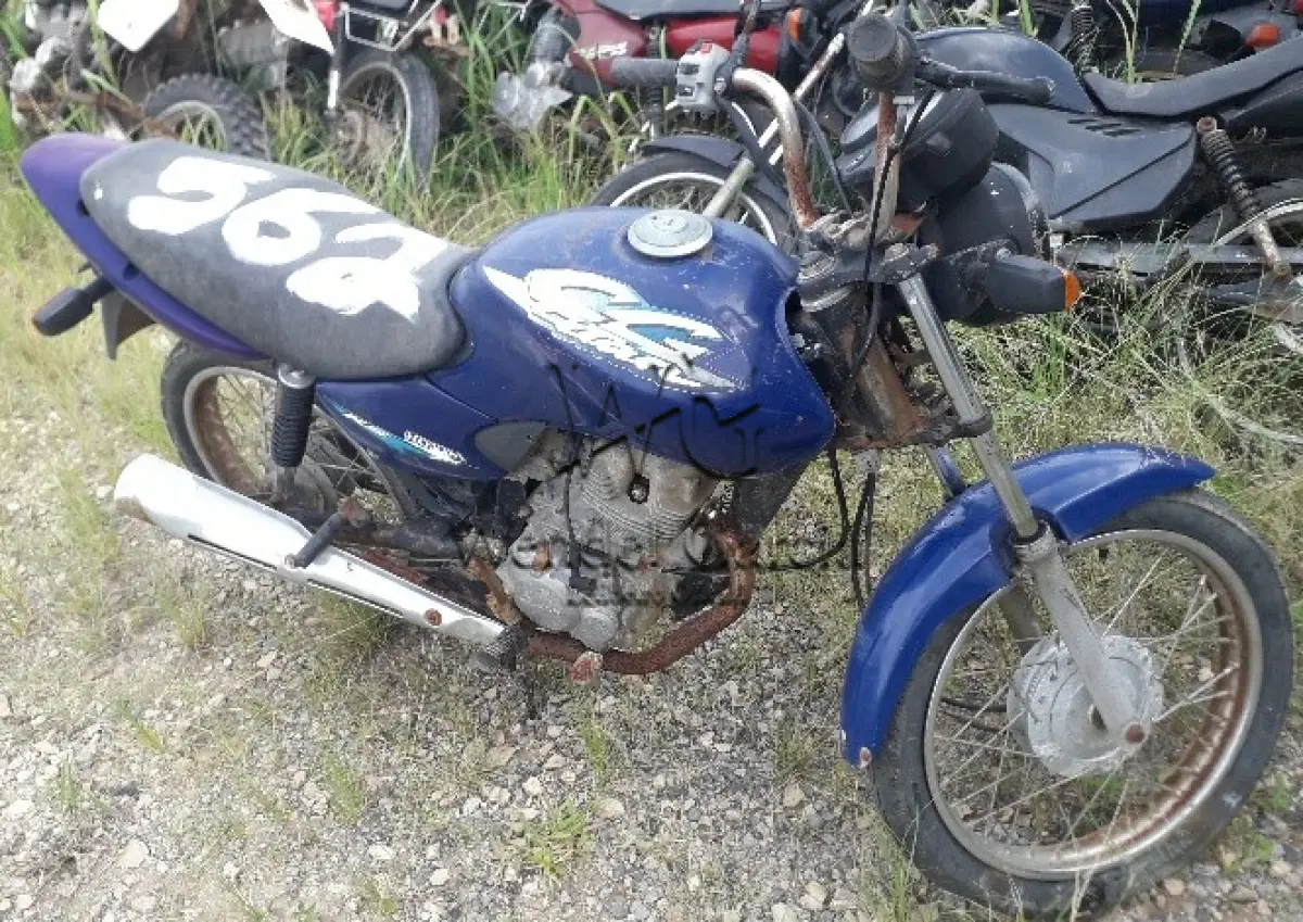 LOTE 562