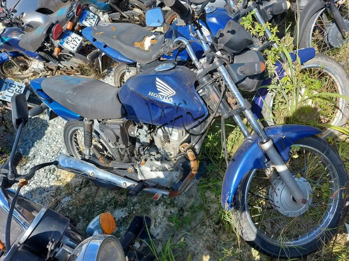 LOTE 515