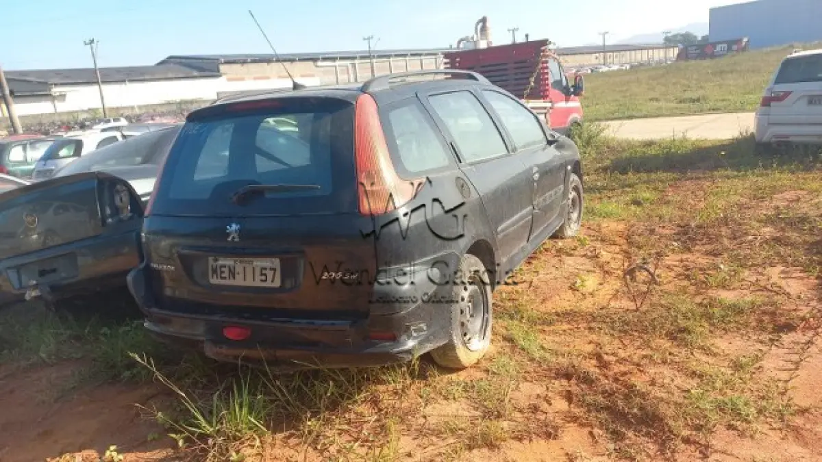 LOTE 728 - PEUGEOT/206 SW14 PRES FX