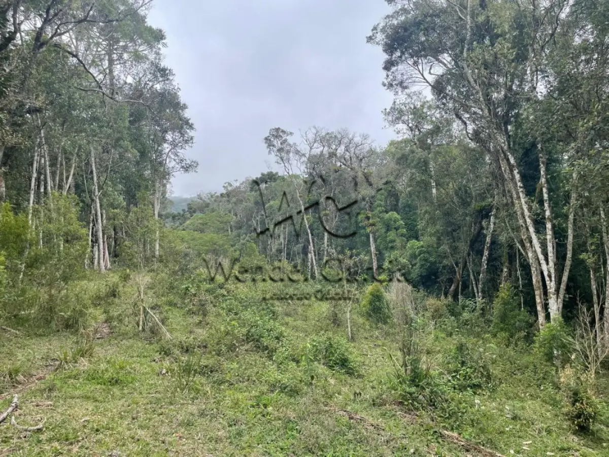 LOTE 001 - 01 (um) terreno urbano situado no bairro São Miguel, município de Campo Alegre, contendo a área de trezentos e oitenta e nove mil e trezentos e trinta e três metros e sessenta e cinco decímetros quadrados (389.333,65m2), quase na divisa com a Localidade de Laranjeiras, pouco antes da Policia Rodoviária Estadual, com acesso pela SC 418, imóvel de grande extensão, sendo que pouco menos da metade de sua área é coberta por mata nativa, cerca de 175.258,18 de área de mata nativa, tendo demais características conforme matrícula nº 38.877. OBS.:"Existe a possibilidade de o futuro arrematante precisar retificar a área do imóvel, minimamente, dada a extensa dimensão do bem (de 389.333,64 m² para 378.768,97 m², redução equivalente a 2,7% da área inicial)" .