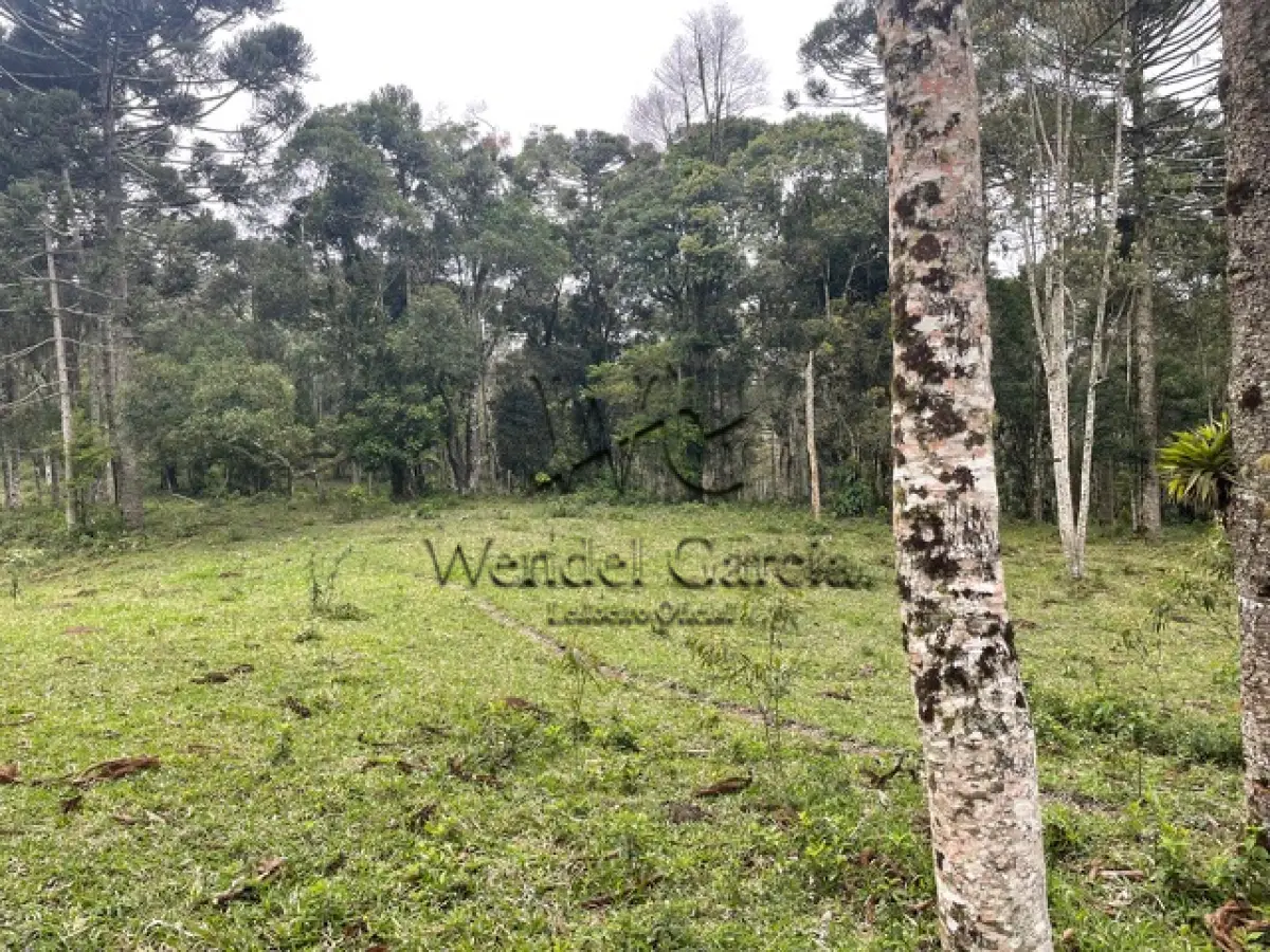 LOTE 001 - 01 (um) terreno urbano situado no bairro São Miguel, município de Campo Alegre, contendo a área de trezentos e oitenta e nove mil e trezentos e trinta e três metros e sessenta e cinco decímetros quadrados (389.333,65m2), quase na divisa com a Localidade de Laranjeiras, pouco antes da Policia Rodoviária Estadual, com acesso pela SC 418, imóvel de grande extensão, sendo que pouco menos da metade de sua área é coberta por mata nativa, cerca de 175.258,18 de área de mata nativa, tendo demais características conforme matrícula nº 38.877. OBS.:"Existe a possibilidade de o futuro arrematante precisar retificar a área do imóvel, minimamente, dada a extensa dimensão do bem (de 389.333,64 m² para 378.768,97 m², redução equivalente a 2,7% da área inicial)" .