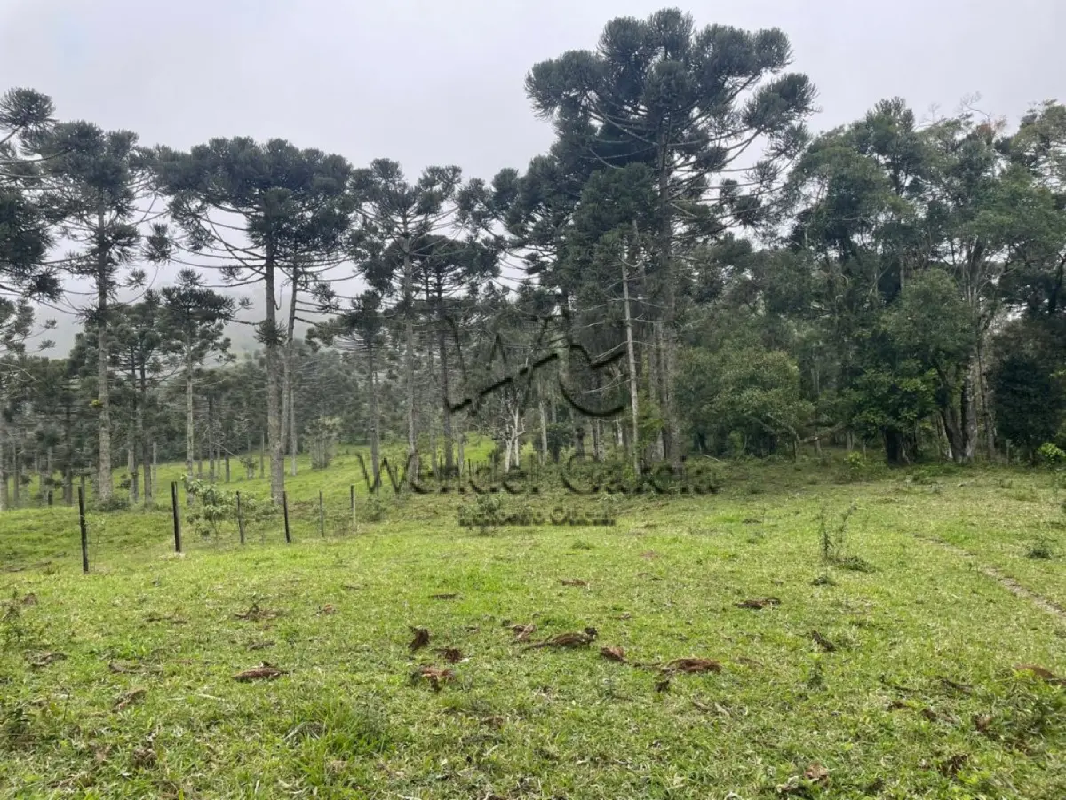 LOTE 001 - 01 (um) terreno urbano situado no bairro São Miguel, município de Campo Alegre, contendo a área de trezentos e oitenta e nove mil e trezentos e trinta e três metros e sessenta e cinco decímetros quadrados (389.333,65m2), quase na divisa com a Localidade de Laranjeiras, pouco antes da Policia Rodoviária Estadual, com acesso pela SC 418, imóvel de grande extensão, sendo que pouco menos da metade de sua área é coberta por mata nativa, cerca de 175.258,18 de área de mata nativa, tendo demais características conforme matrícula nº 38.877. OBS.:"Existe a possibilidade de o futuro arrematante precisar retificar a área do imóvel, minimamente, dada a extensa dimensão do bem (de 389.333,64 m² para 378.768,97 m², redução equivalente a 2,7% da área inicial)" .