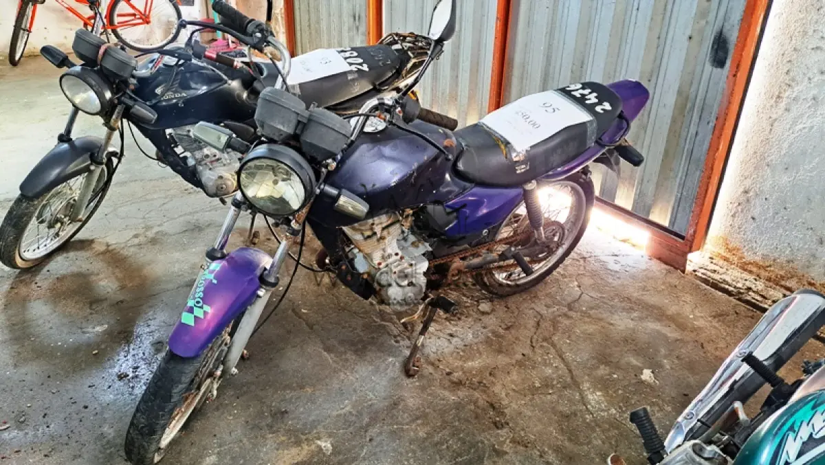 LOTE 0095