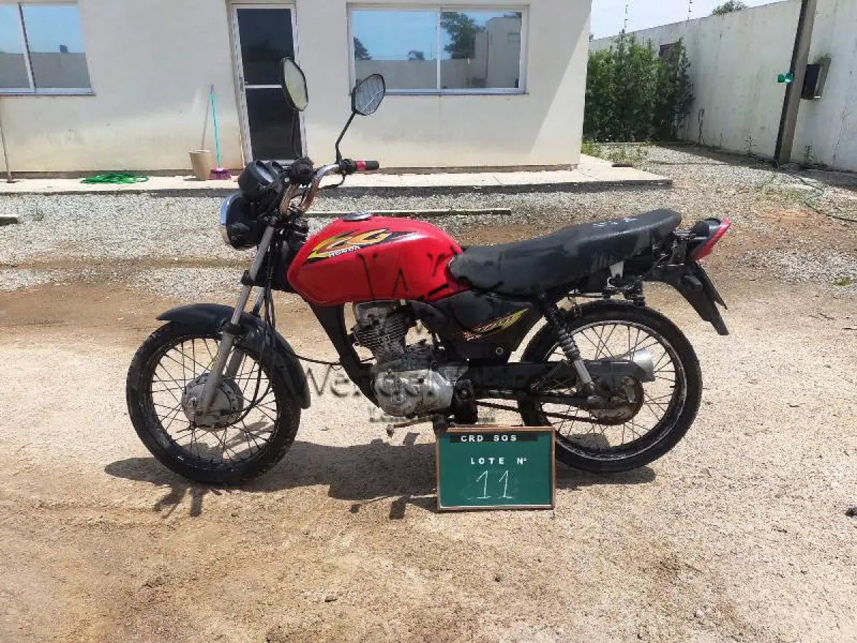 LOTE 0011