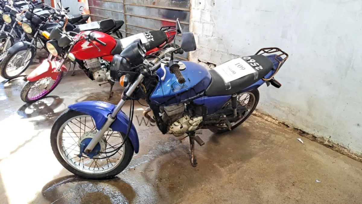 LOTE 0109