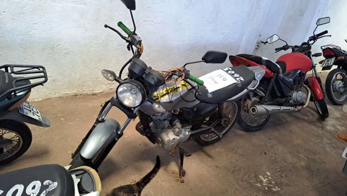 LOTE 0119