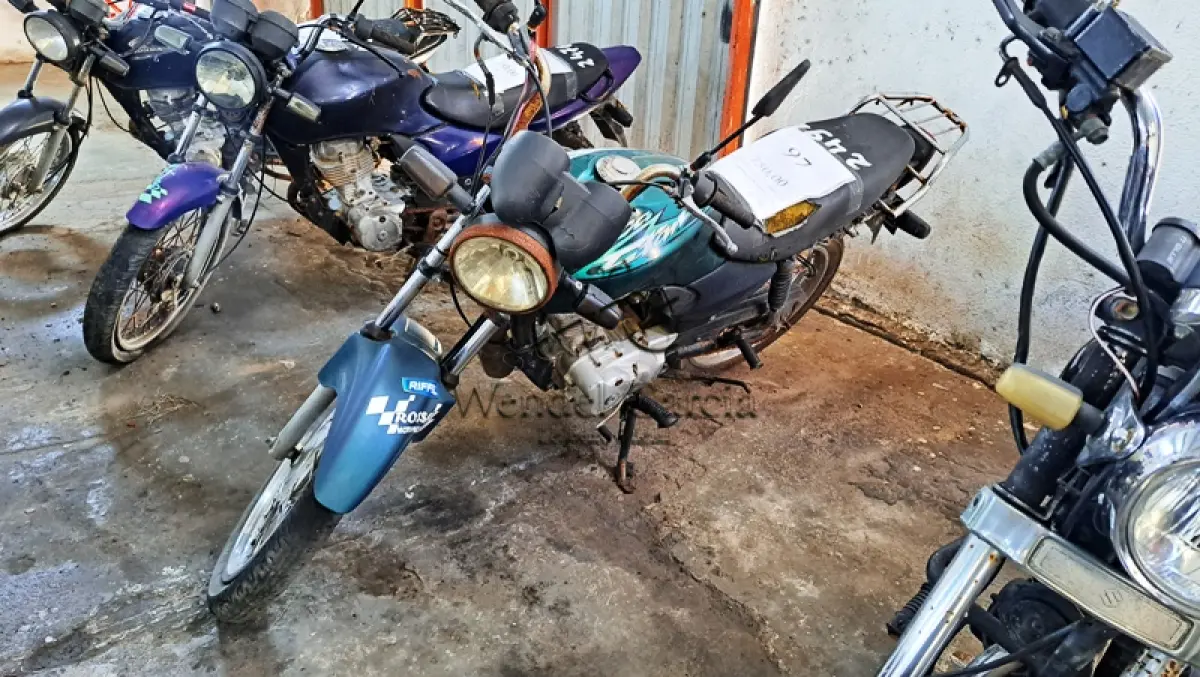 LOTE 0097