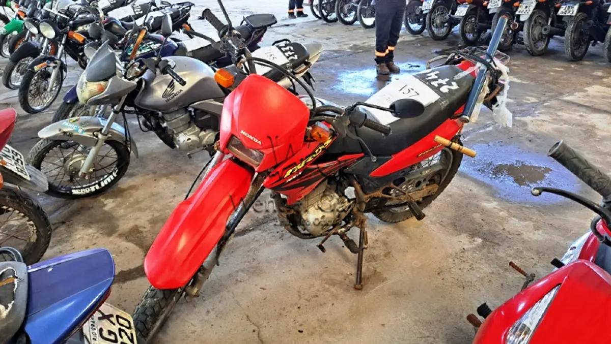 LOTE 0157