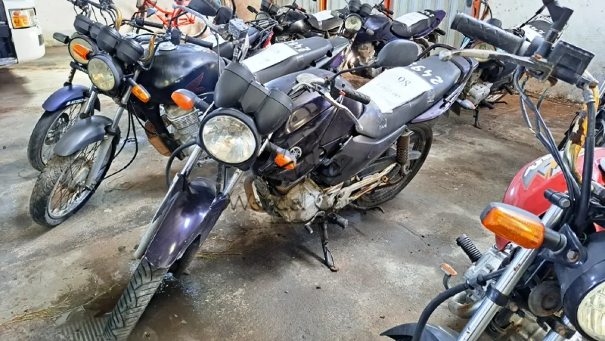LOTE 0098