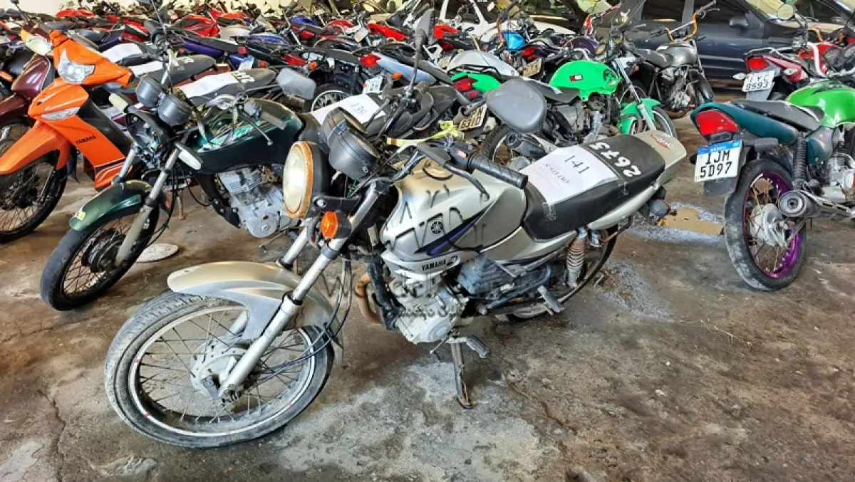 LOTE 0141