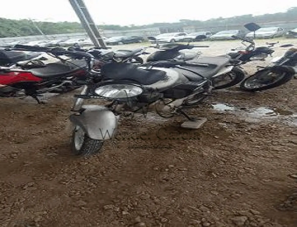 LOTE 3512