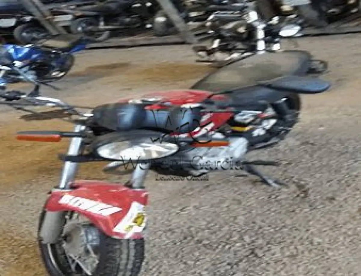 LOTE 3499