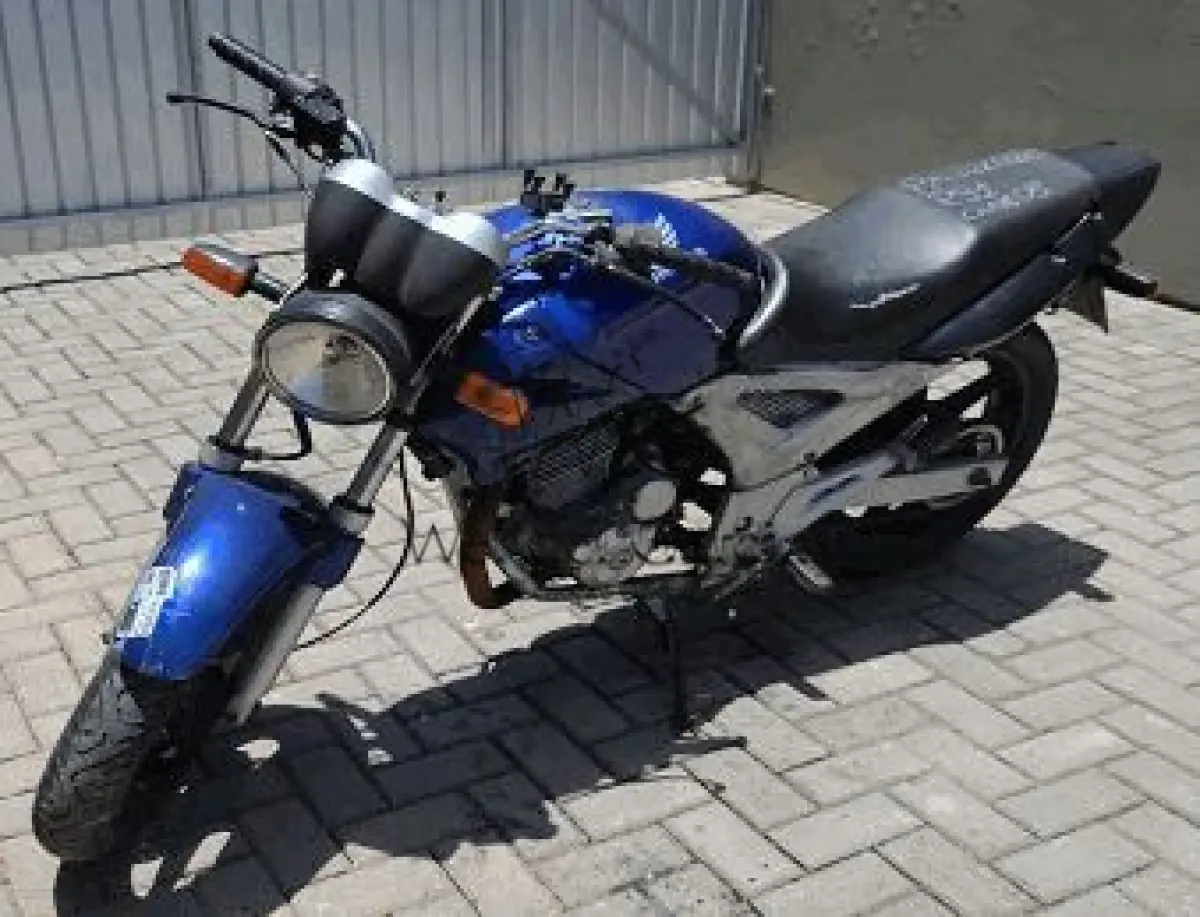 LOTE 3594