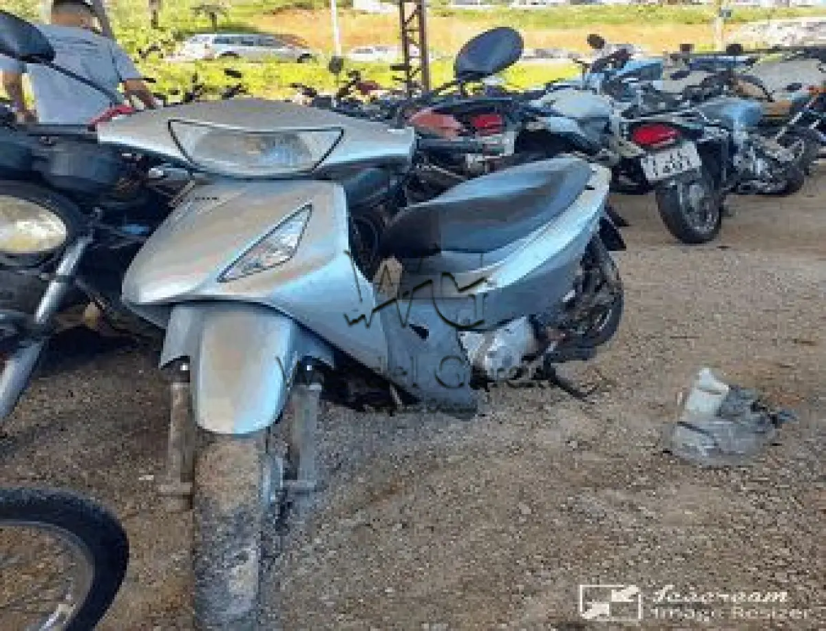 LOTE 3579