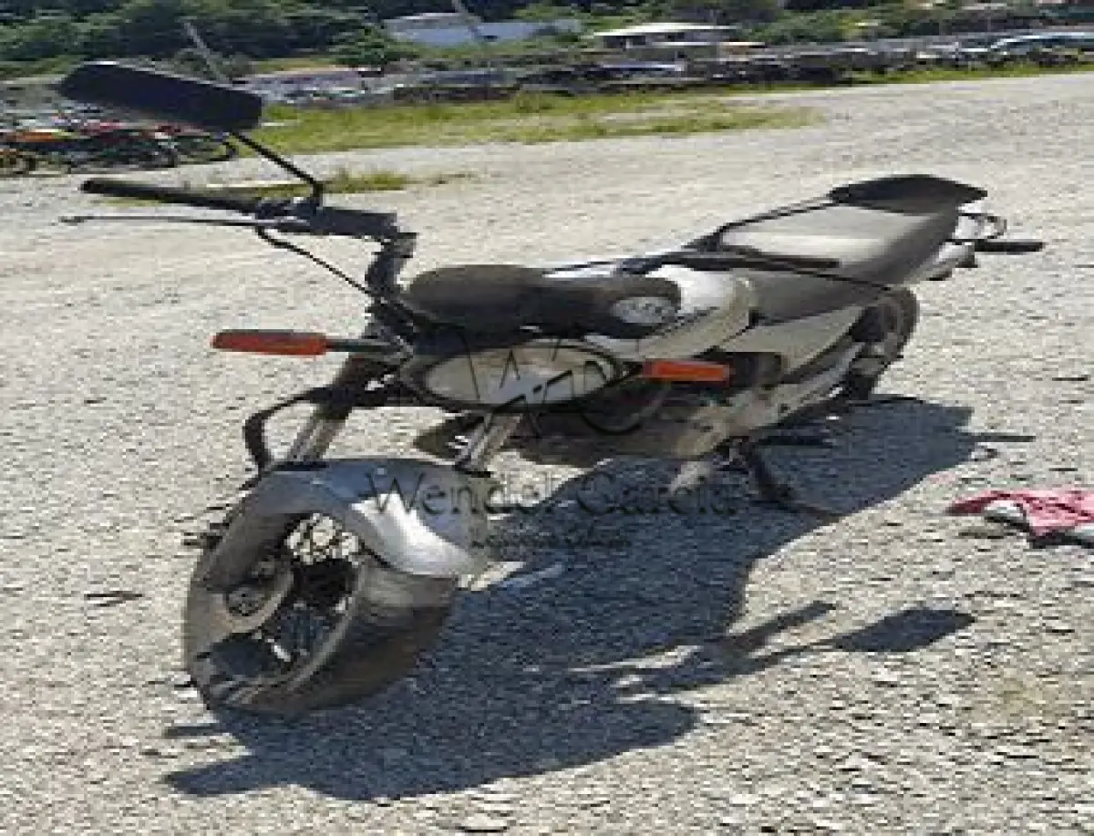 LOTE 3510