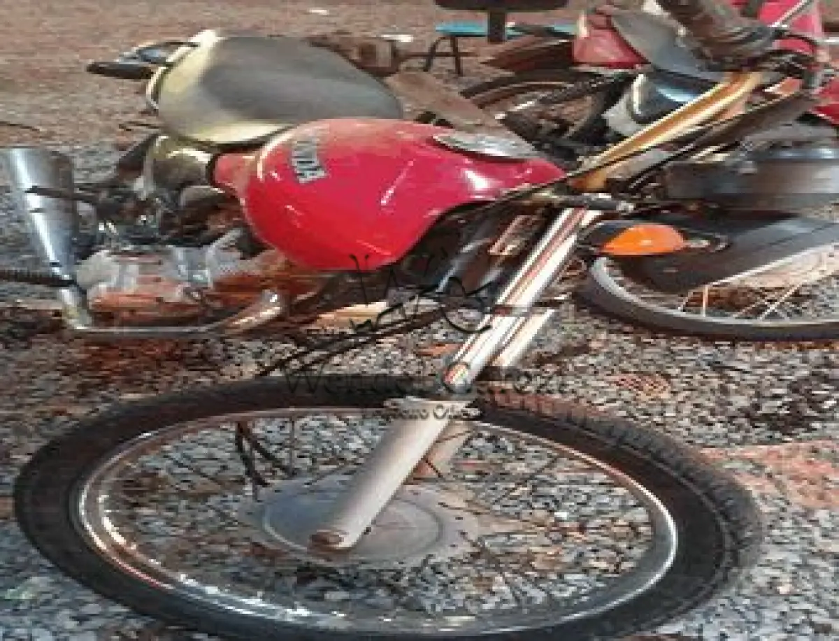 LOTE 3581