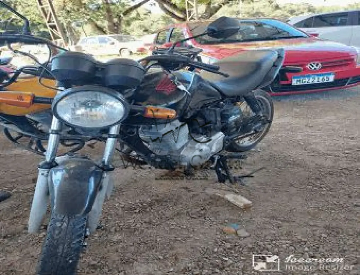 LOTE 3554
