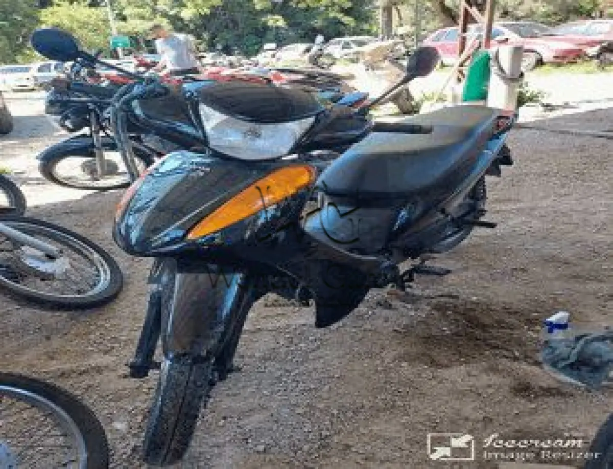 LOTE 3550