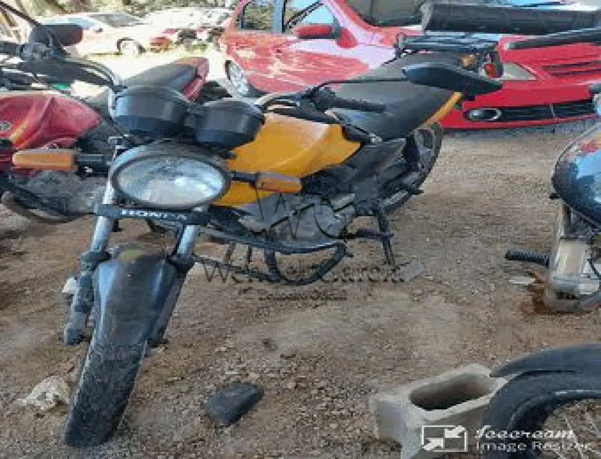 LOTE 3556